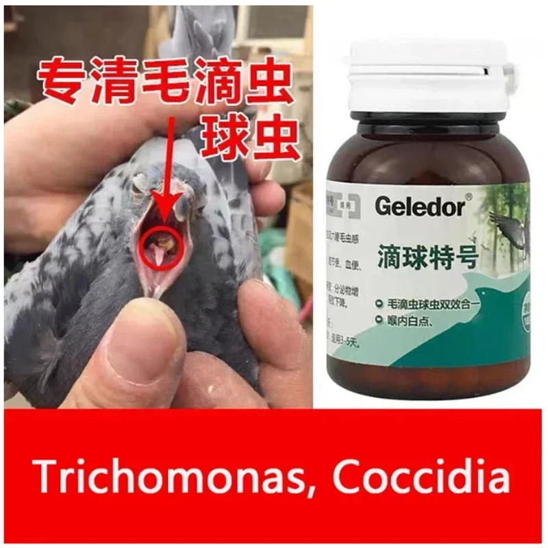 Trichomonas pigeon coccidia two-in-one infection nodular stool digestive disorders 100 tablets