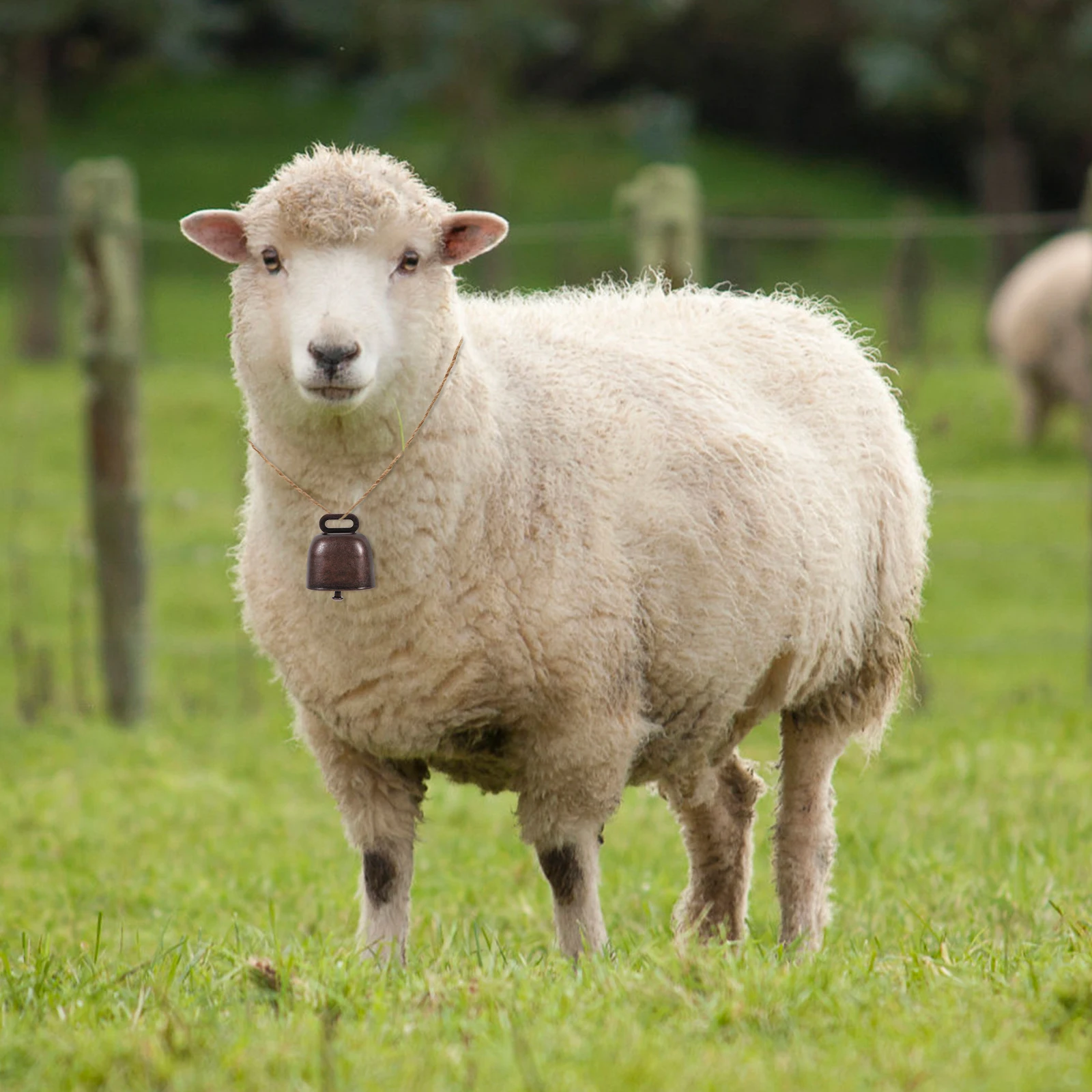 2 قطعة ديكور معلق صغير من الحديد للأغنام الحصان البقرة الأبيض الزراعة الحيوان مكافحة خسر جهاز Diy بها بنفسك قلادة اكسسوارات الماشية الأذن