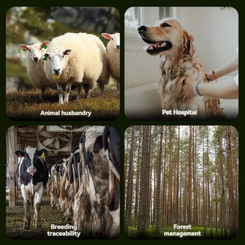 Daily Animal RFID Reader 134.2Khz/125Khz USB Pet ID Scanner Animal Tag Reader Handheld Mini Scanner For Dog Cat Horse