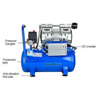 Small Air Compressor Portable Oil-free Silent Air Pump Mini Car Tire Inflator Pump Air Reservoir for Car Painting 12V/24V/48V/60
