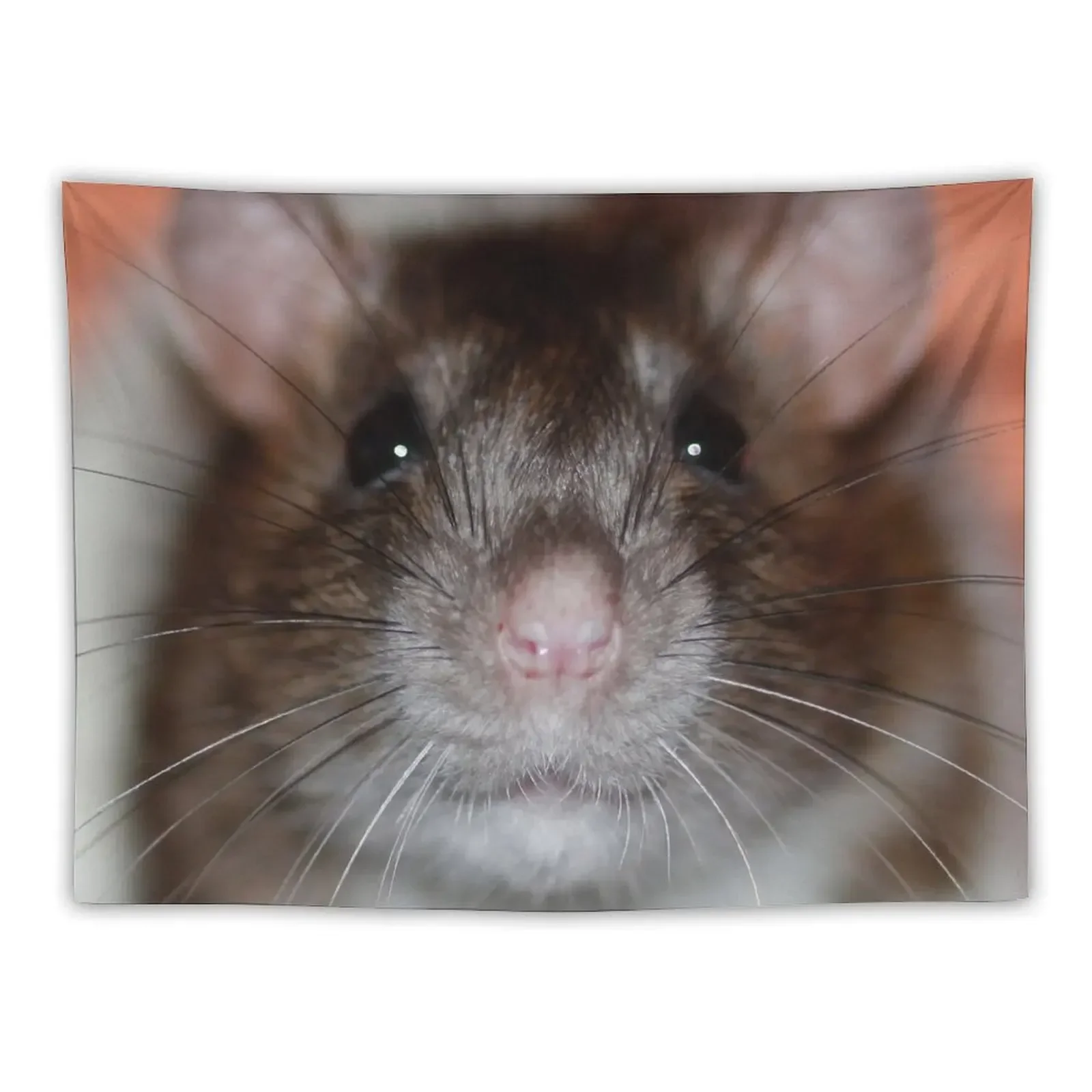 Squeak Posing Tapestry Room Aesthetic Decor Bedroom Deco Art Mural Tapestry