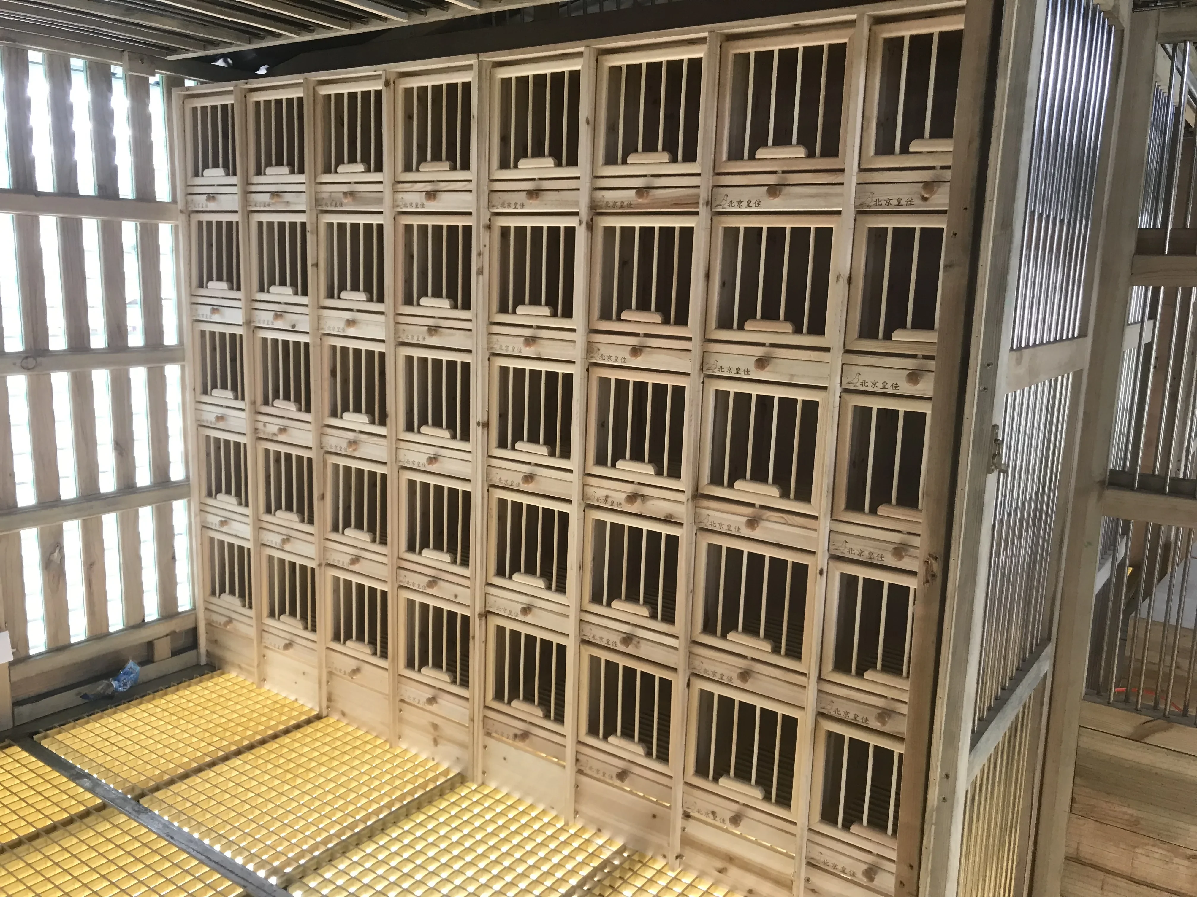 Jaula para palomas, caja nido para palomas de carreras, jaula portadora a juego para palomas, jaula a juego, caja nido, caja de cría