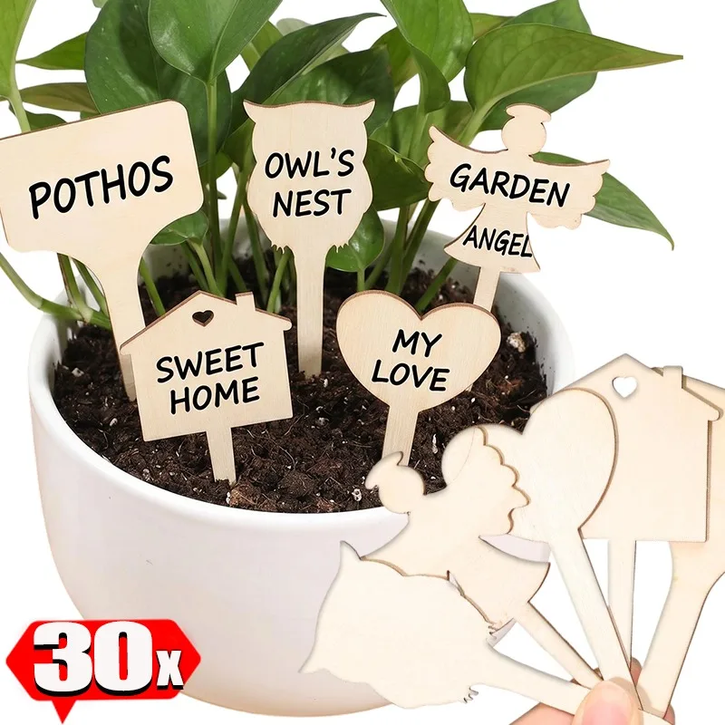 Wooden Plant Labels Blank Tags for Garden Pots Succulent Herb Vegetable Flower Heart House Cloud Angel Shape with Sharp Pointed