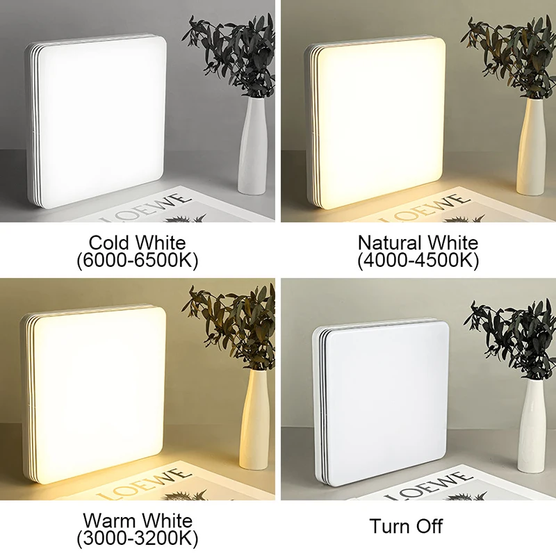 Modern Style LED Ceiling Lamp 18-48W Corridor Light Aisle AC85-265V Indoor Room Lighting Bedroom White/Warm/3-Color Light