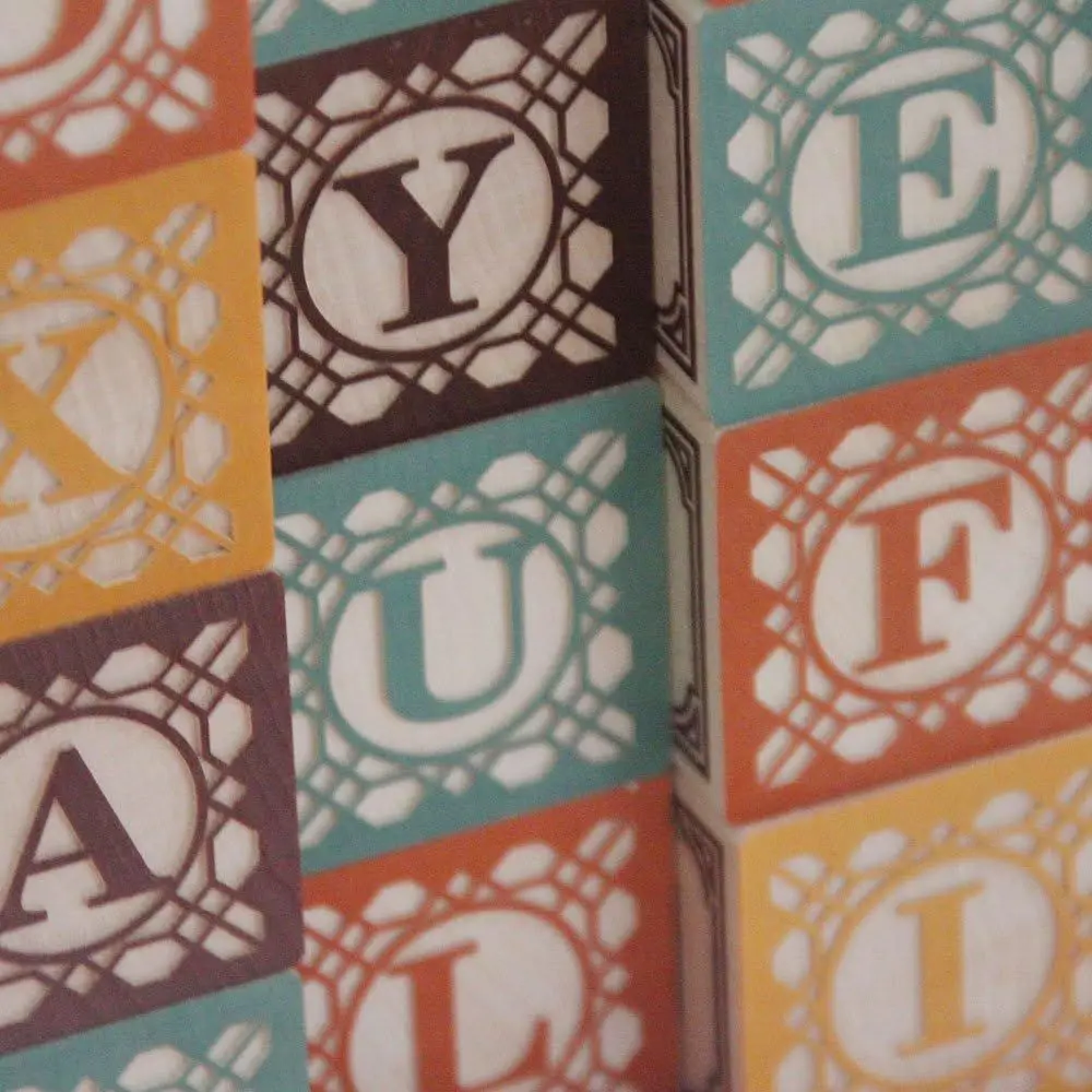 Blocchi italiani realizzati in America realizzati a mano di Uncle Goose