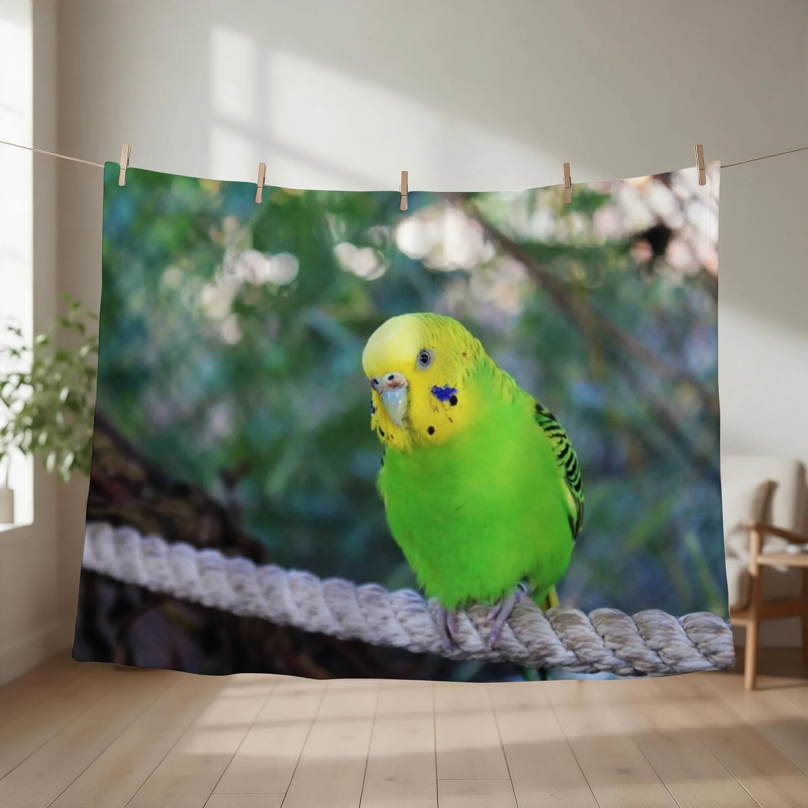 Budgie Throw Blanket couch cozy soft plush fuzzy picnic outdoor blanket