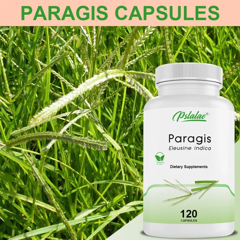 Naturethics Paragis Pregnancy Nutrition PCOS Cyst All-Natural Organic Supplement 120 Capsules Non-GMO