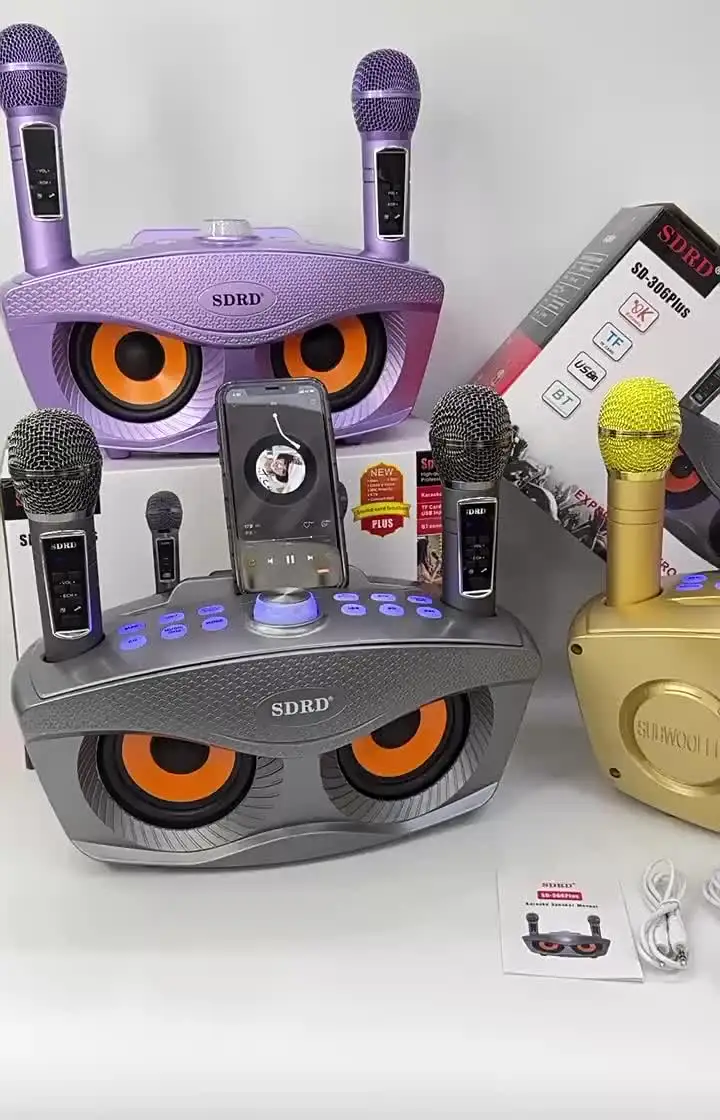 SD306plus ポータブルカラオケスピーカー 2in1 ブルートゥース