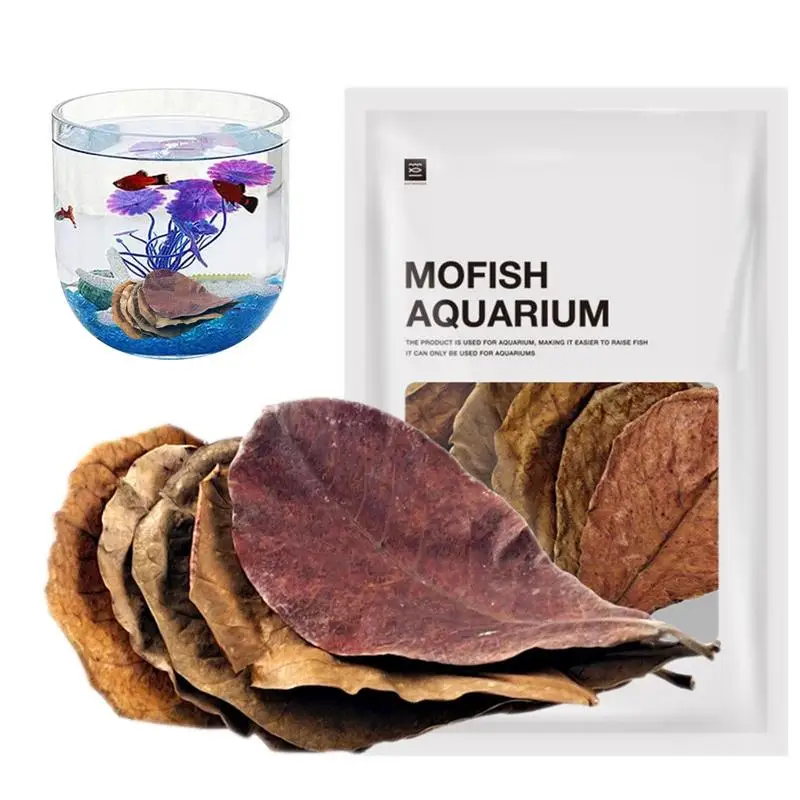 Indians Almond Leaves 20pcs Natural Fish Aquarium Tank Water Conditioner Natural Dried Indians Almond Leaves For Fish Tank decor