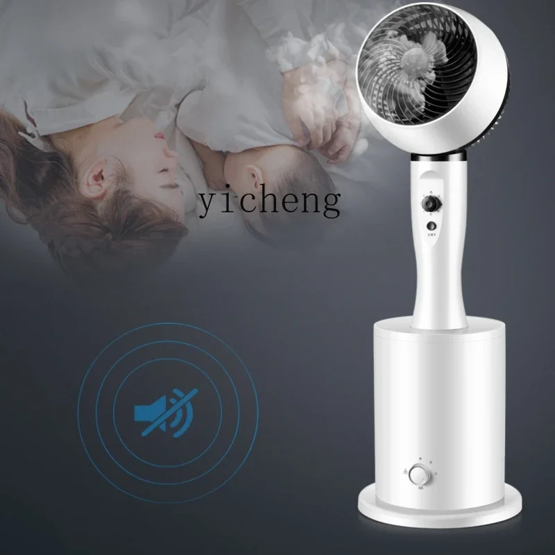 C21 Electric Fan Cold Air Household Refrigeration Small Air Conditioning Bedroom Lifting Floor Fan