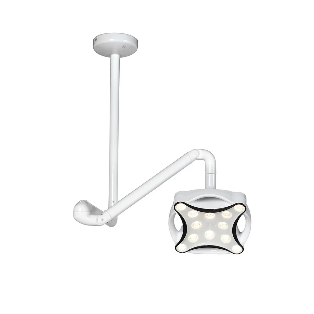 Dental Surgical Lamp Medical Mobile Operating Lamp for Pets Veterinary Operating Lighting Veterinary LED Minor Surgical Lamp