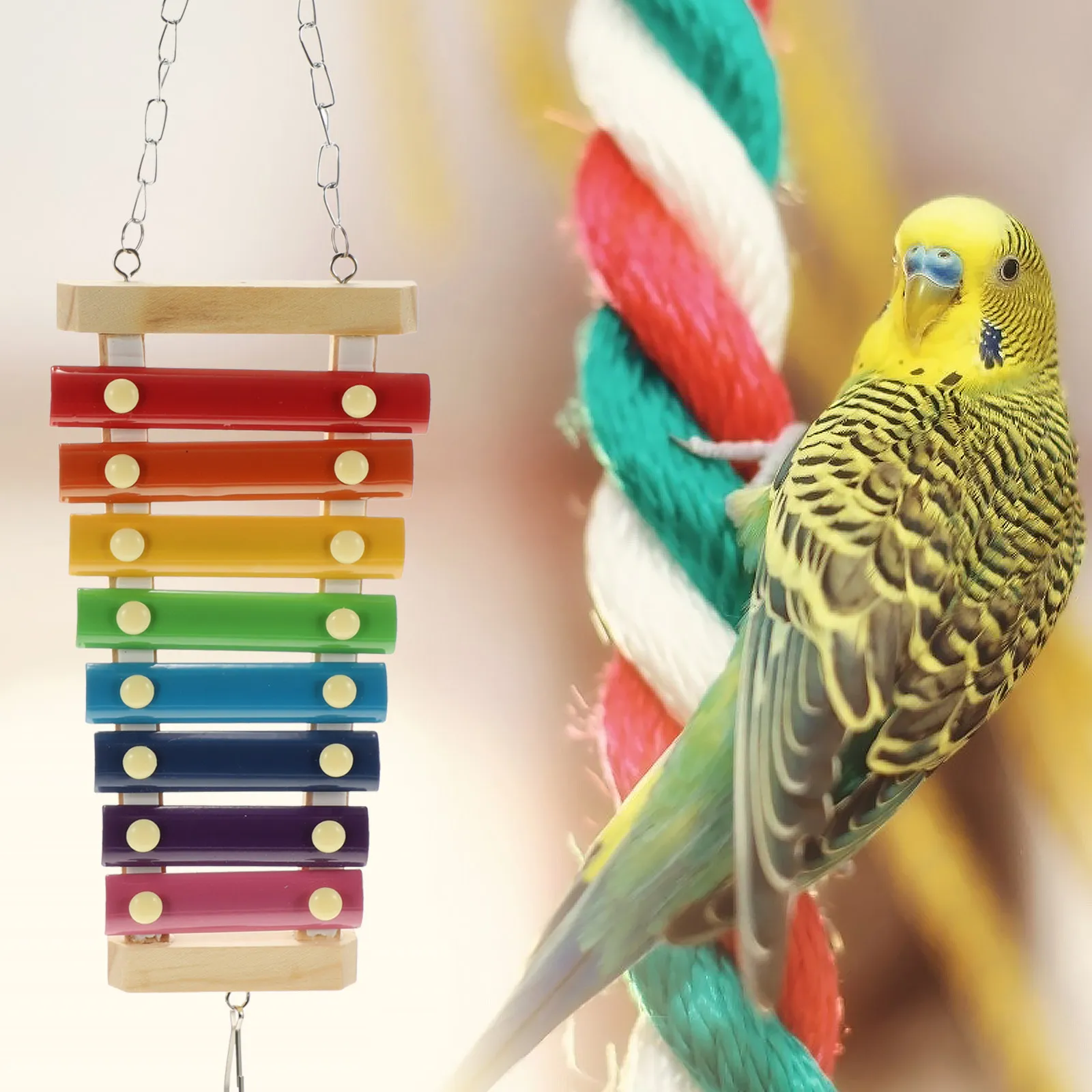 

3Pcs Bird Xylophone Parrot Skewer Set for Cage Hanging Feeding Enrichment and Foraging Entertainment