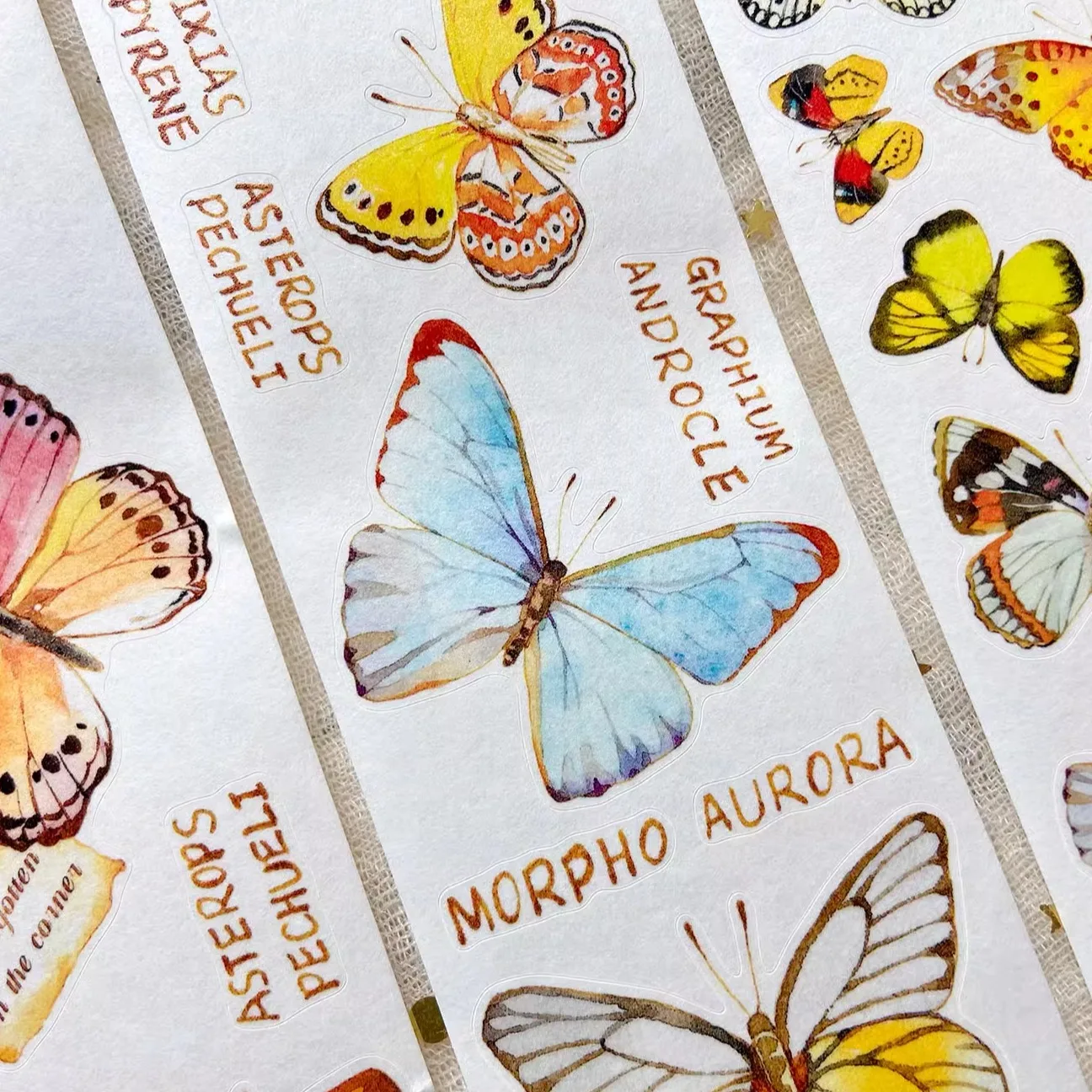 Xing Studio PET اشي الشريط يموت قطع الفراشة التوضيح بلطف الرجعية، فراشة ملصقات الزخرفية للمجلات،