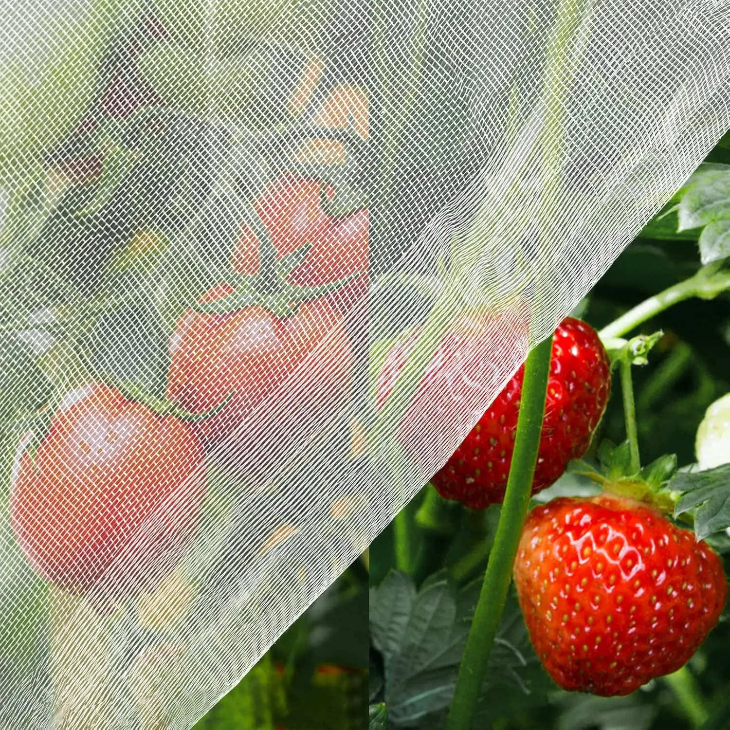 

10x20ft Garden Netting, Bird & Bug Protection for Plants, Vegetables, Fruits, Pest Barrier Mesh