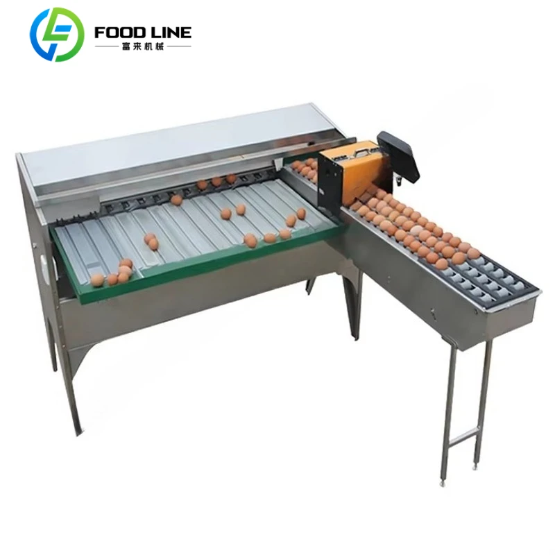 Integrated Egg Washing Sorting Grading Packaging Machine Automatic Egg Processing Equipment