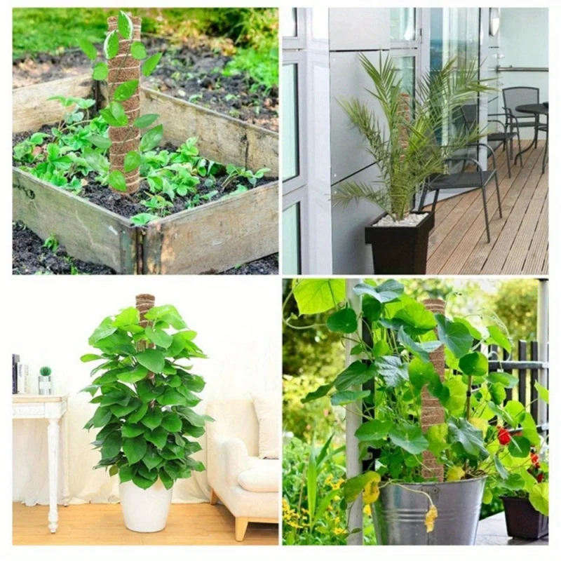 Indoor Green Plant Climbing Trellis2-4Packaged Natural Coconut Shell Moss Green Radish Ivy Fixed Support Stackable Climbing Brac