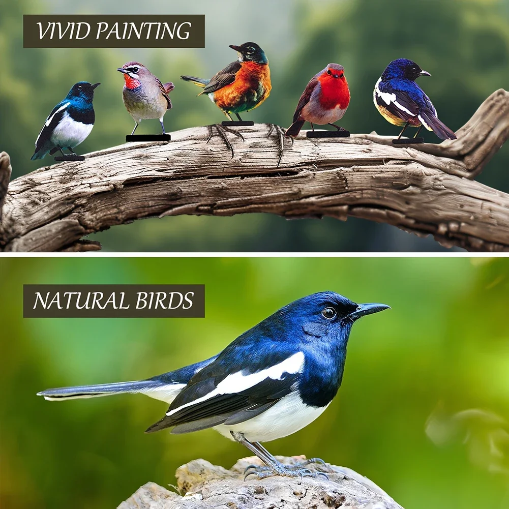 5pcs Colorful Metal Birds Garden Decoration Creative Lawn Figurine Ornament Animal Bird Outdoor Garden Party Prop Decoration