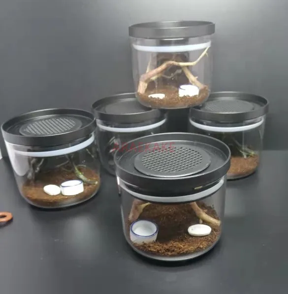 Ecological glass jar ground reptile breeding box for young scorpions, centipedes, pink toed spiders, chirping insects, crickets