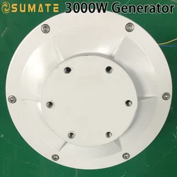 China Factory Rare Earth Coreless Maglev Alternative Generator 3000W 12V 24V 3KW Dynamo Low RPM Permanent Magnet Alternator