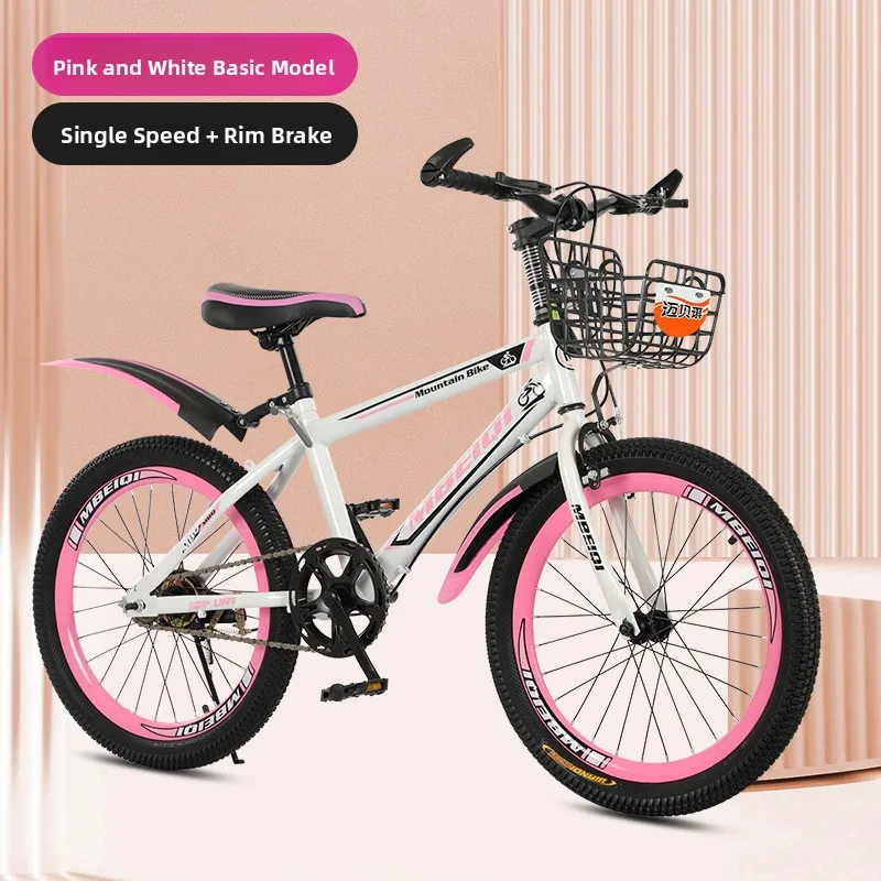 Unisex Mountain Bike Dual Disc Brake Gear Shift Outdoor Sports Student Adult Shock Absorption Off-Road Bicycle