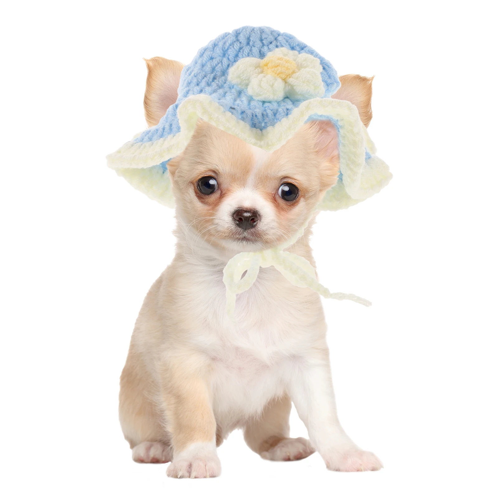 

Blue Trim Flower Hat For Dog Cat Lovely Knitted Cartoon Pet Headwear Costume Party Carnival Halloween Birthday Cap