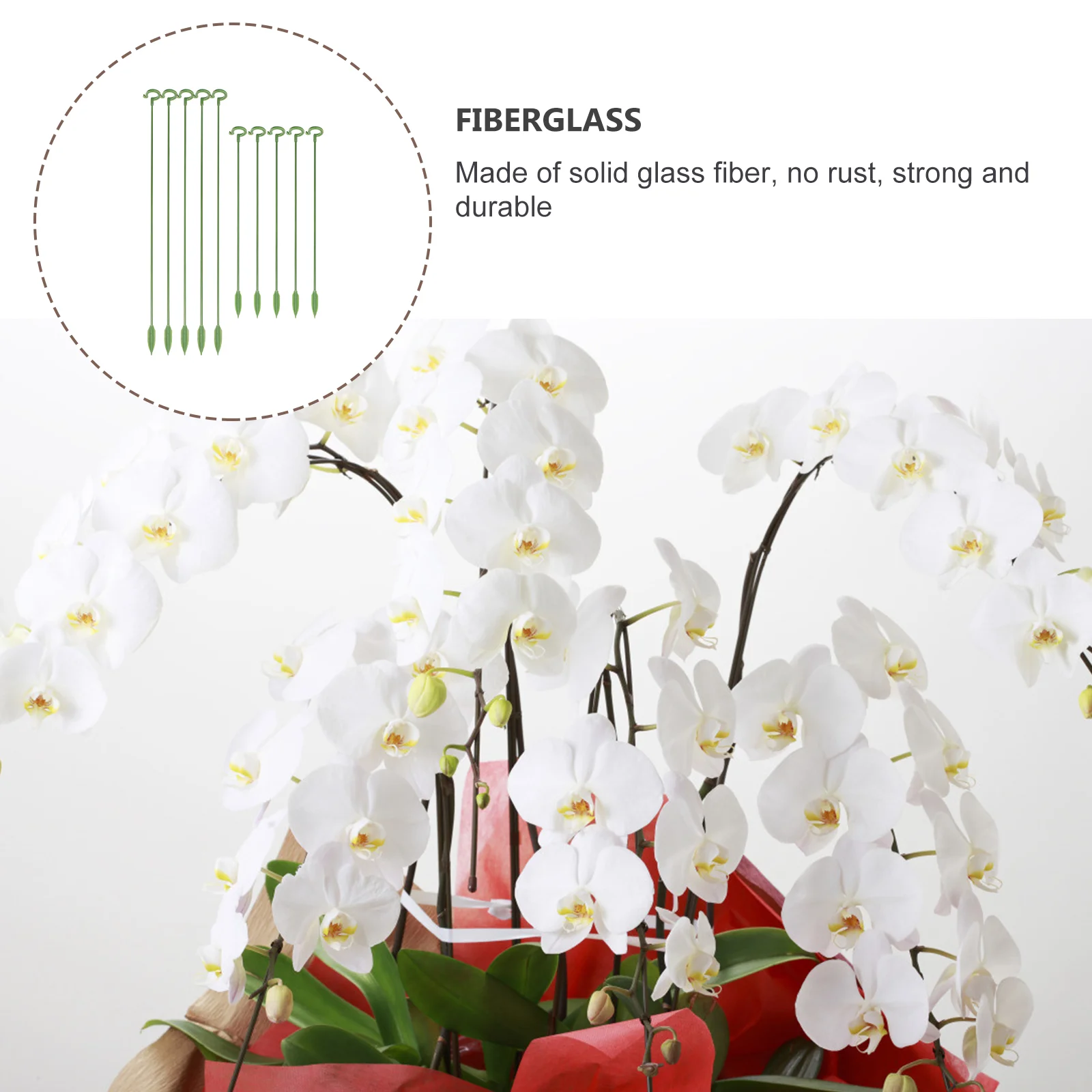 10 قطعة عمود دعم الزهور قسط الألياف الزجاجية النباتية بوعاء قوس الأخضر خفيفة الوزن حامل للنباتات الداخلية العصارة الثابتة #2