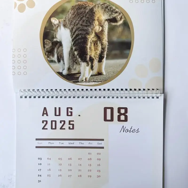 مضحك القط بعقب التقويم الشهري 2025 كرات القط تنظيم التقويم ديكور المنزل مخطط جدول قابل للتعليق للمدرسة المنزلية