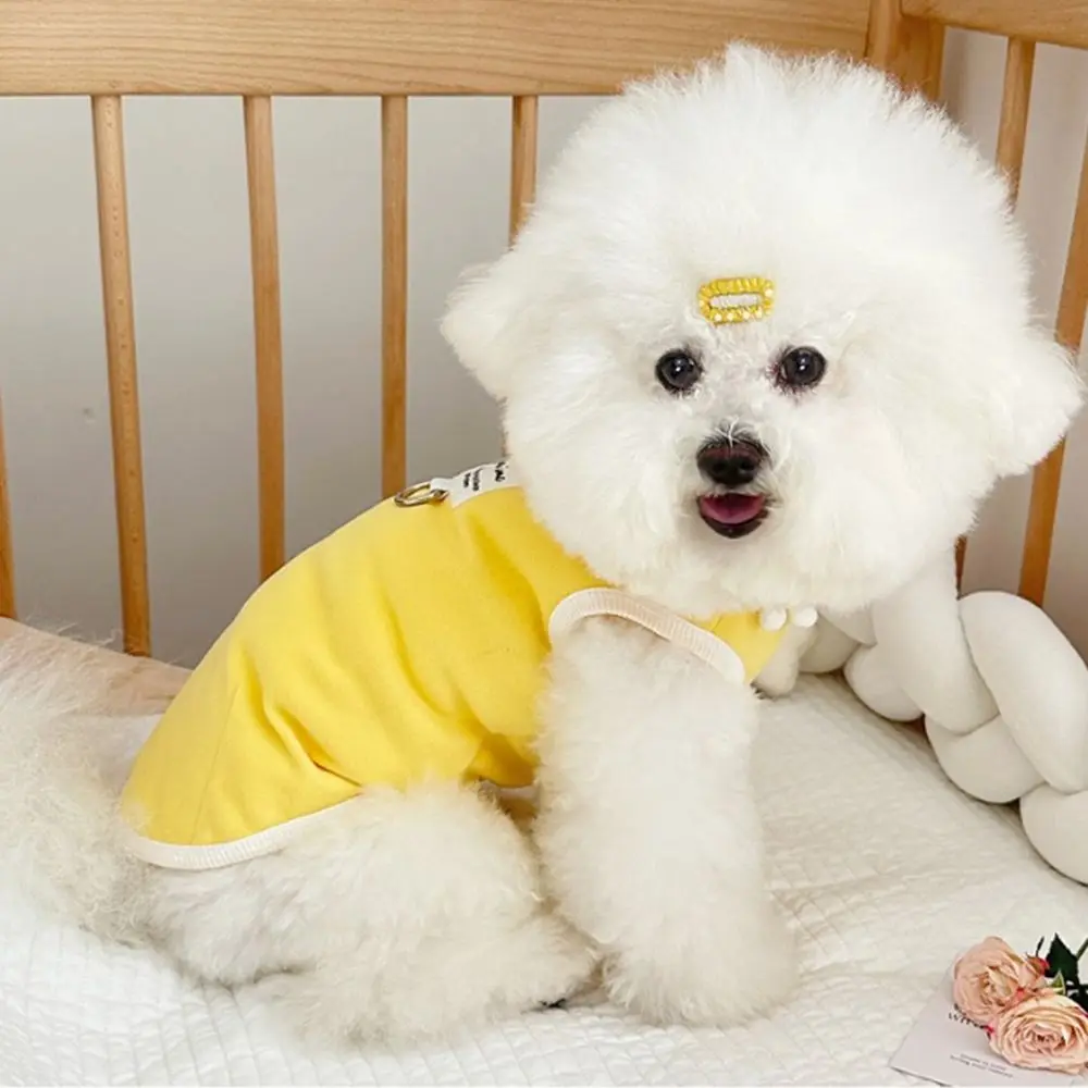 Ins Style mignon été gilet pour animaux de compagnie respirant doux chien haut sans manches Polyester animal de compagnie débardeur été