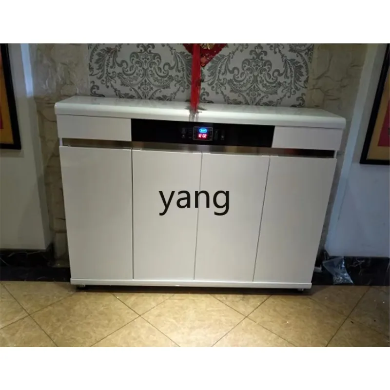 LMM Sterilization Disinfection Shoe Deodorization Drying Household Entrance Hallway