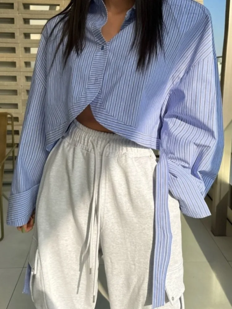 

Шикарный весенний свободный длинный све, клетчатый дизайн, воротник-стойка, цветная блузка, повседневный универсальный женский трикотаж, топ