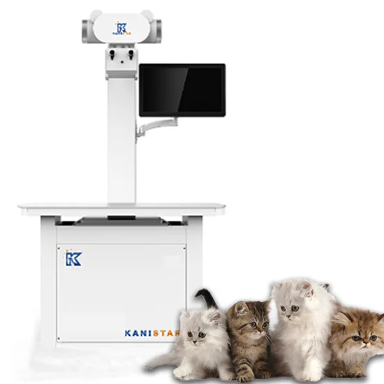 Kanistar vet Stationary DR X Ray System Digital Radiography Fluoroscopy X-ray Machine Portable Hospital Equipment Machine