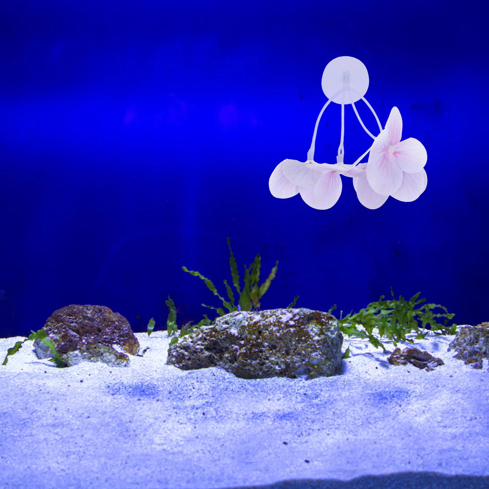 

Simulated Water Grass Decoration Aquarium Plant Plants Plastic Realistic Fish Tank Decorations Ornaments Cute Artificial