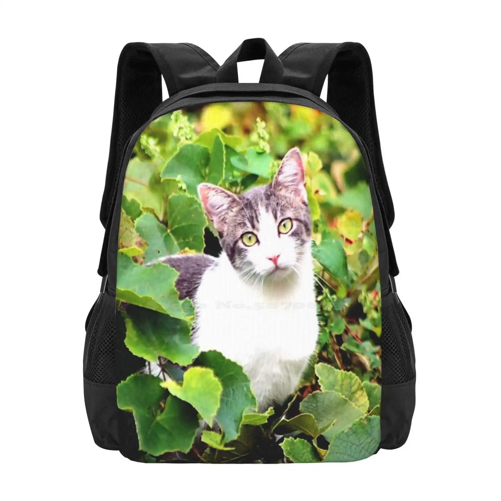 

Китти Большой вместительный школьный рюкзак Сумки для ноутбука Bolla67 Дизайнеры интерьера Украшения интерьера Животные Кошачьи кошки Китти Гатос