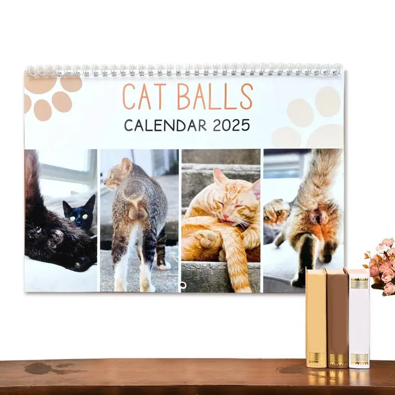 

Funny Cat Calendar Cats Photos Monthly Planner Home Decoration Hangable Schedule Planner Vertical Square Calendar 2025 For Kids