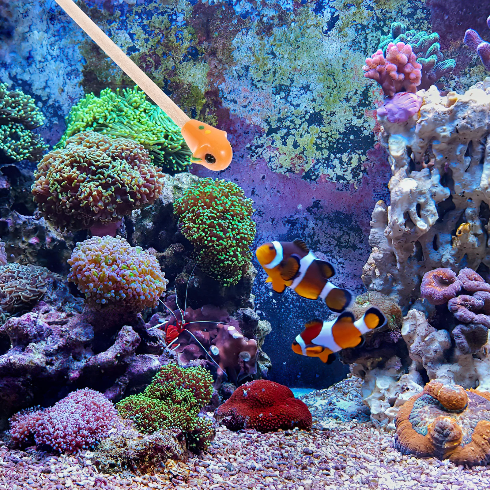 Tongkat Latihan Ikan Cupang Kayu Untuk Latihan Interaktif Dekorasi Akuarium Tongkat Aktivitas Mainan Ikan Akuarium