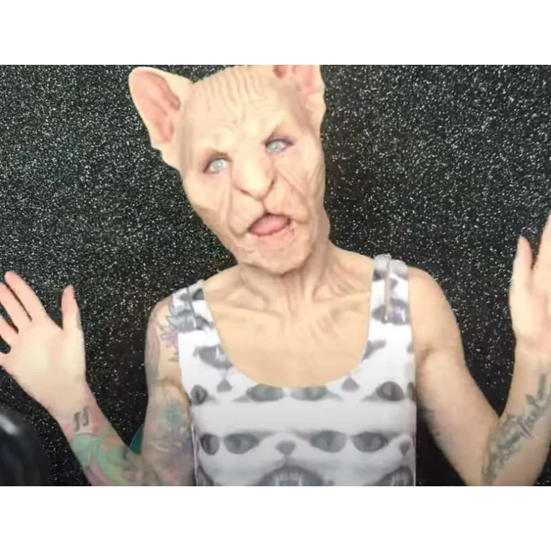 Adult Hairless Cat Mask - Full Head Latex Halloween Costume