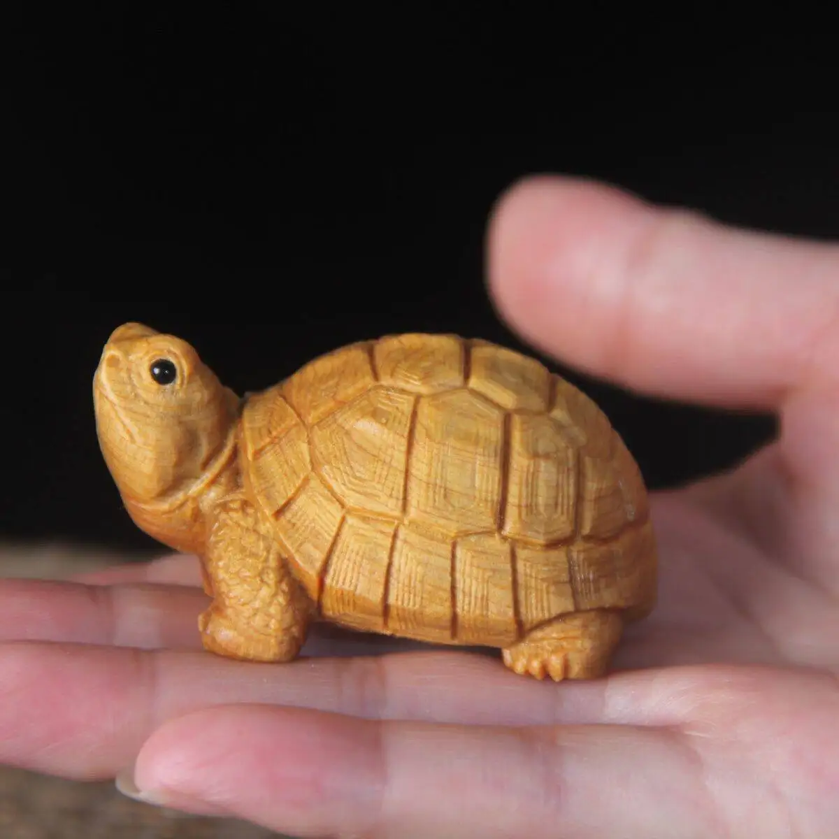 Thuja Wood Turtle Hand Carved Figurine Fortune Longevity Statue Solid Wood Car Dashboard Ornament Tea Pet Gifts