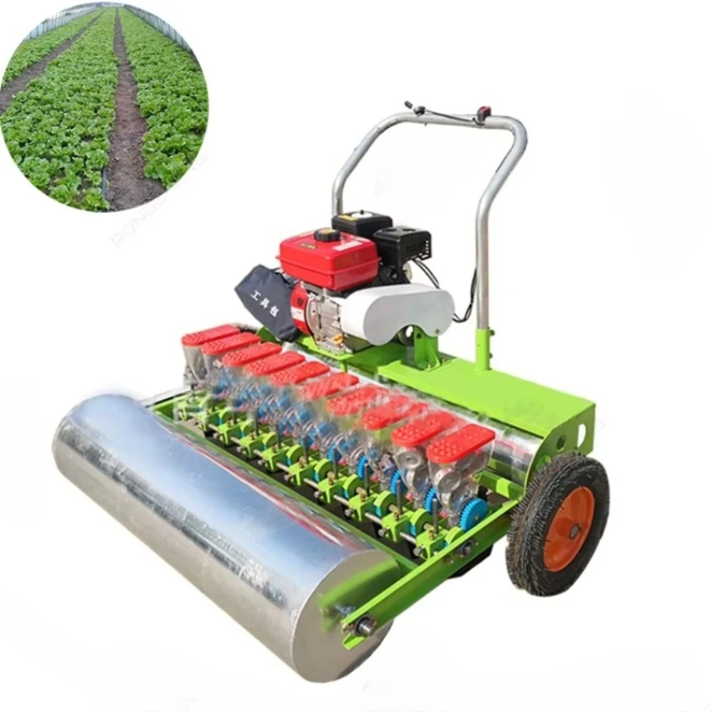 Small Agricultural Hand Push Electric and  Model Small Seed Planter Onion Planter for Sale Manual Vegetable Seeder