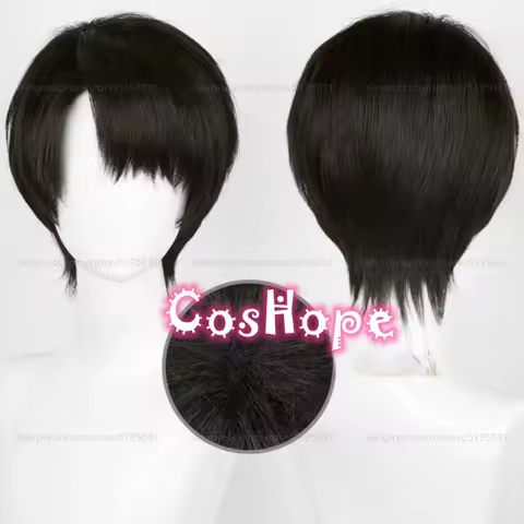 Levi Ackerman Cosplay Wig Men 30cm Short Black Brown Wig Cosplay Anime Cosplay Wigs Heat Resistant Synthetic Wigs
