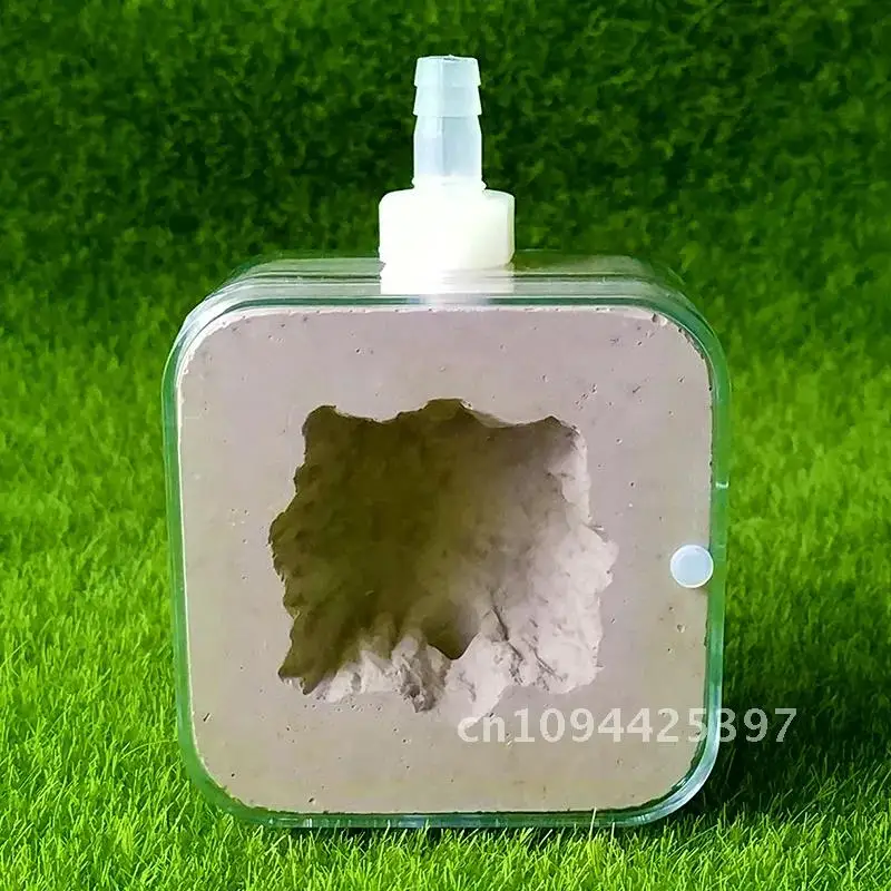 Ant Imitation Ecological Nest Small Plane External Gypsum Ant Nest Hardening DIY Ant Farm Insect Feeding Box