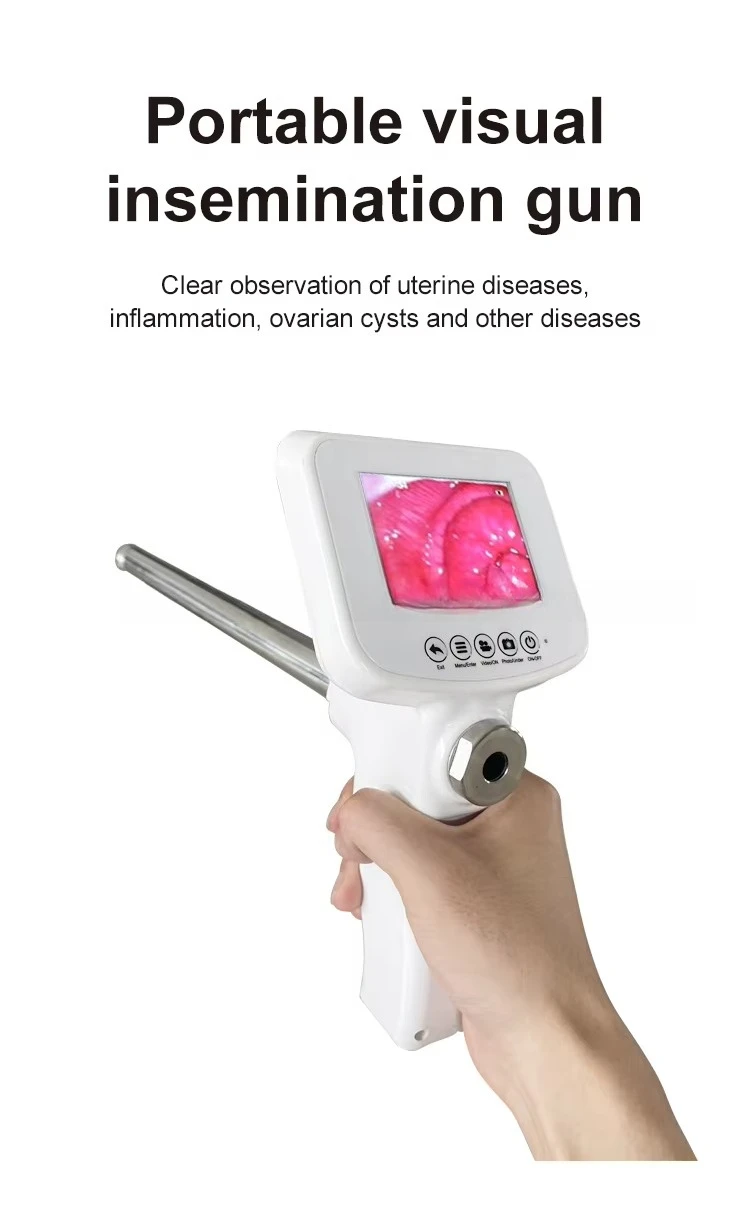 Vet AI Gun, Portable Cattle Visual Insemination Device, High Accuracy Reproduction Tool, Livestock Breeding Equipment