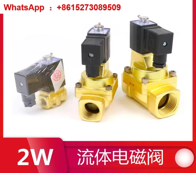 

Электромагнитный клапан 2WL 2WT 2WH 2WX050-10A 15 2W030-08 06B DC24V 220