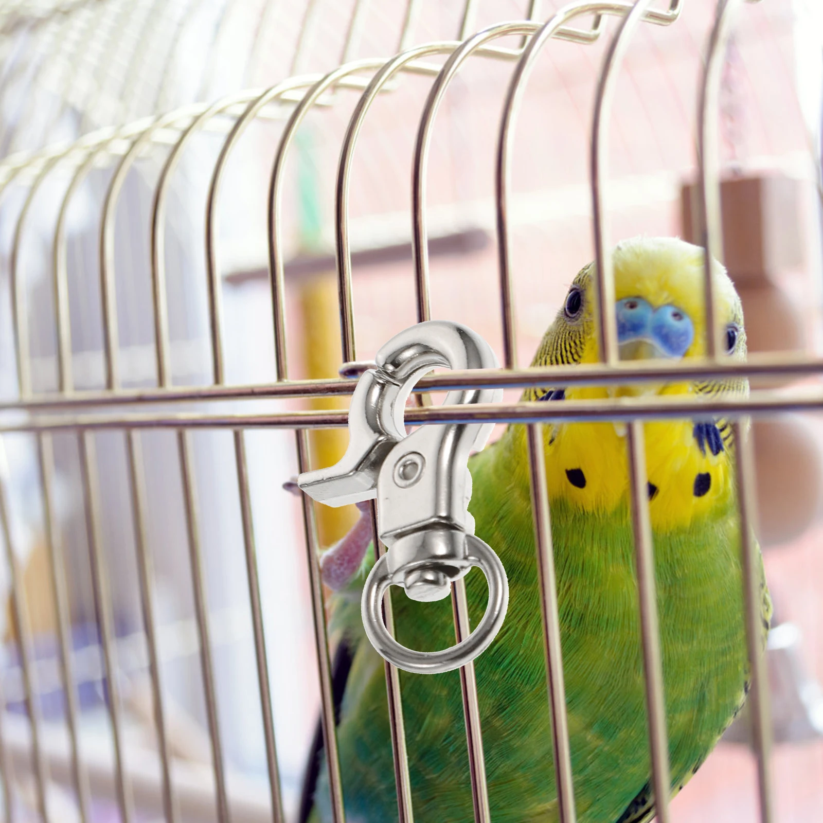 

10Pcs Bird Cage Clips Stainless Steel Safety Buckles for Parrots Lightweight Metal Snaps Suitable Various Cages Pet Accessories