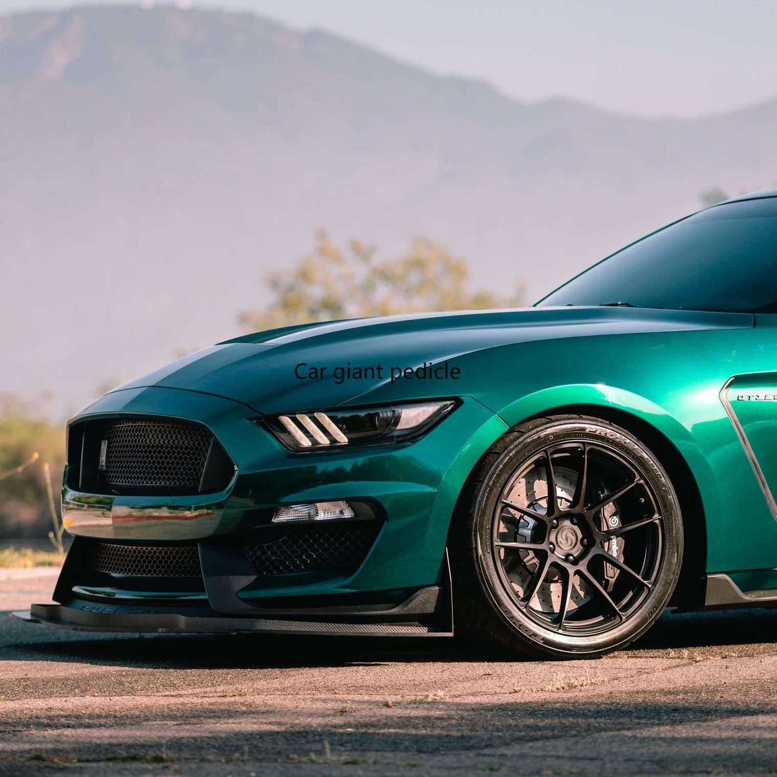Highest qualityGloss GAgate green  vinyl Wrap Film Car Wrap Film Non degumming Non fading quality Warranty 1.52M*17M roll