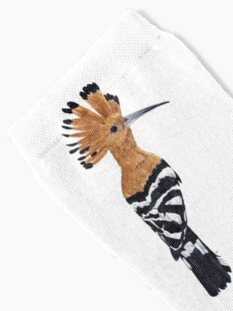 HOOPOE Tất Ấm Tất Mùa Đông Người Phụ Nữ