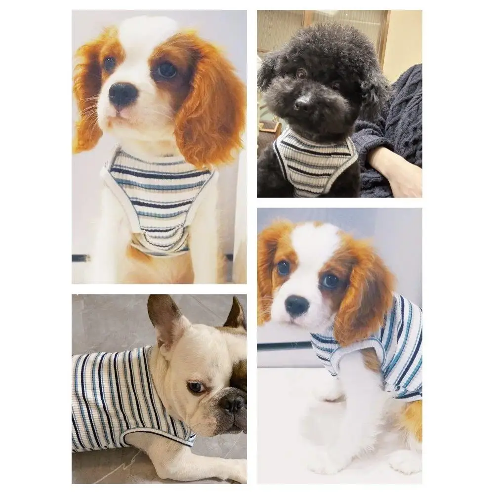 ニンキンペット服-夏用薄手ベスト-ノースリーブ-ショートレッグ-犬用-バオグオ-パグ-暖かい屋外用冬用puレザー-バオグオペット服