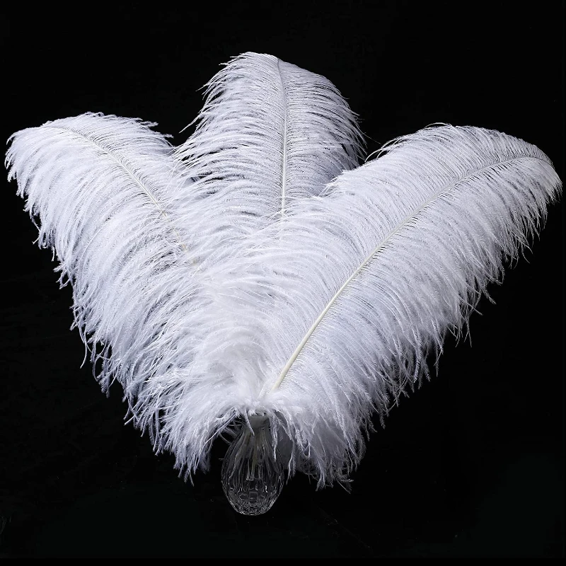 Natural White Ostrich Feathers For Crafts 6-26 Inch 15-65cm Bulk for Wedding Party Centerpieces Easter Gatsby Decorations Plumas