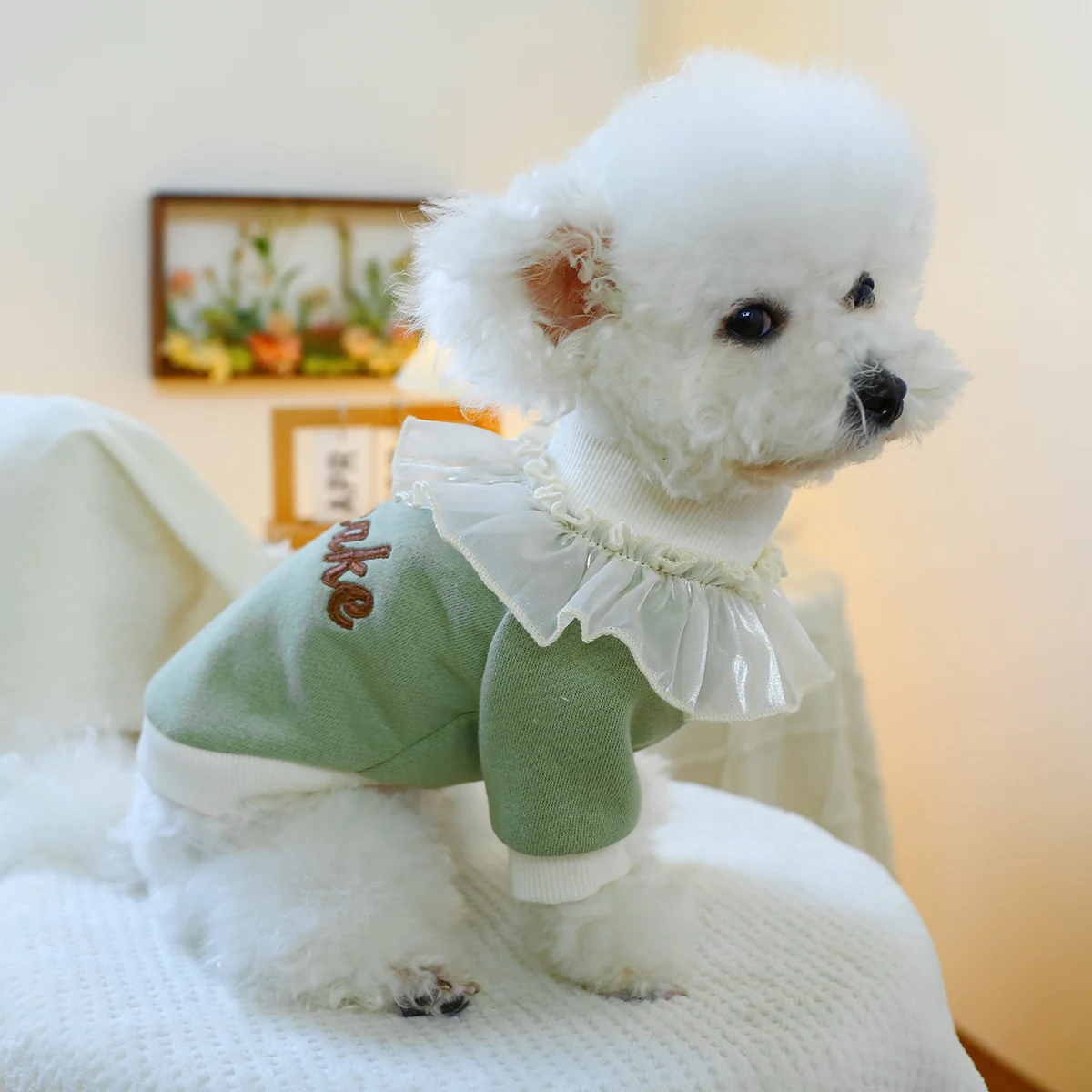 1PC Pet Clothing Cat Spring Autumn Plush Thickened Green Cake Lace Pullover Round Neck Shirt Suitable for Small and Medium Dogs