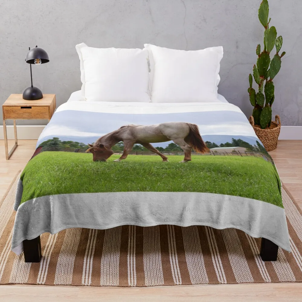 

Horse of Nye Throw Blanket Winter beds Beautifuls wednesday decorative Blankets