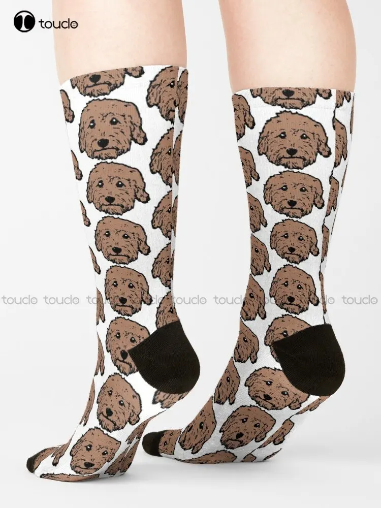 Light Red Brown Doodle - Tan Goldendoodle! Brown Labradoodle! Adorable Doodle Teddy Bear Dog - In Chocolate Brown Socks Art